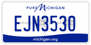 EJN3530 license plate in Michigan