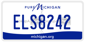 ELS8242  license plate in MI