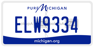 ELW9334 license plate in Michigan