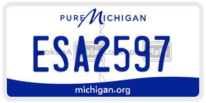 ESA2597  license plate in MI