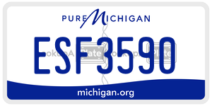 ESF3590 license plate in Michigan