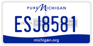 ESJ8581 license plate in Michigan