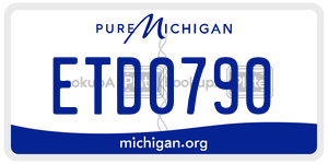 ETD0790  license plate in MI