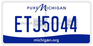 ETJ5044 license plate in Michigan