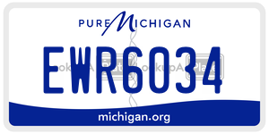 EWR6034 license plate in Michigan