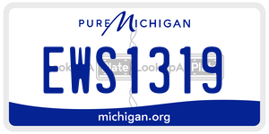 EWS1319  license plate in MI