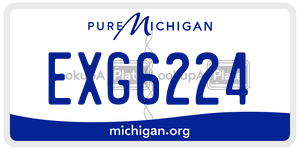 EXG6224 license plate in Michigan
