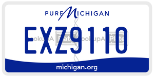 EXZ9110 license plate in Michigan