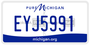 EYJ5991 license plate in Michigan
