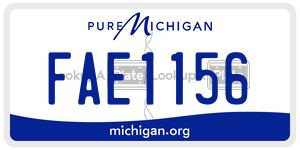 FAE1156 license plate in Michigan