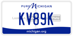 KV89K license plate in Michigan