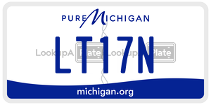 LT17N license plate in Michigan