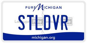 STLDVR  license plate in MI