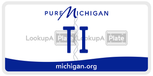 TI license plate in Michigan