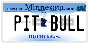 PITBULL license plate in Minnesota