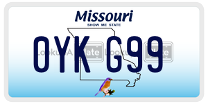 0YKG99  license plate in MO