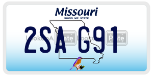 2SAG91  license plate in MO