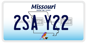 2SAY22  license plate in MO