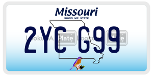 2YCG99  license plate in MO