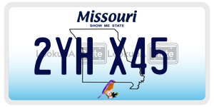 2YHX45  license plate in MO