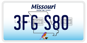 3FGS80  license plate in MO
