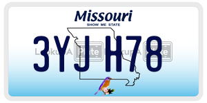 3YJH78  license plate in MO