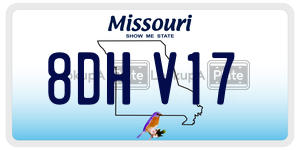 8DHV17  license plate in MO