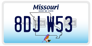 8DJW53 license plate in Missouri