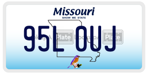 95L0UJ  license plate in MO
