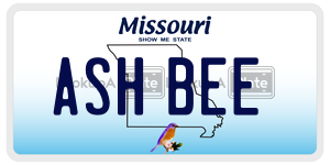 ASHBEE  license plate in MO