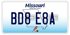 BD8E8A  license plate in MO