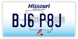 BJ6P8J  license plate in MO