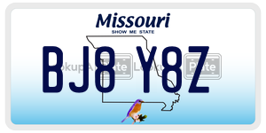 BJ8Y8Z  license plate in MO