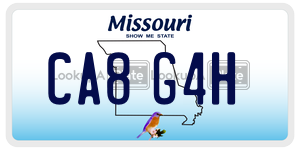 CA8G4H  license plate in MO