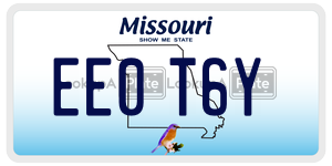EE0T6Y  license plate in MO