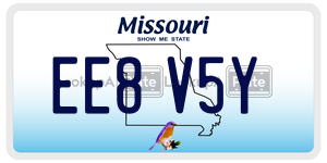 EE8V5Y  license plate in MO