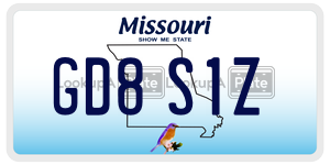 GD8S1Z license plate in Missouri