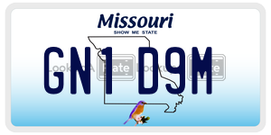 GN1D9M  license plate in MO