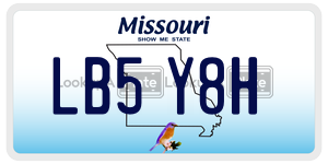 LB5Y8H  license plate in MO