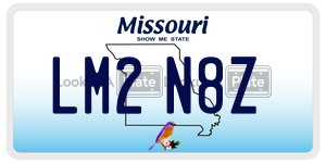 LM2N8Z  license plate in MO
