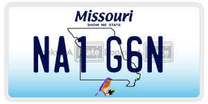 NA1G6N  license plate in MO