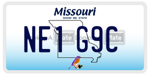 NE1G9C  license plate in MO