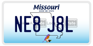 NE8J8L license plate in Missouri