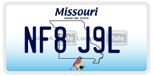NF8J9L  license plate in MO