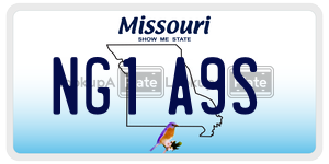 NG1A9S  license plate in MO