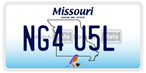 NG4U5L  license plate in MO