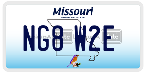 NG8W2E  license plate in MO