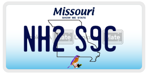 NH2S9C license plate in Missouri