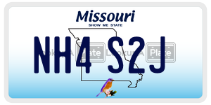 NH4S2J  license plate in MO