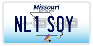 NL1S0Y  license plate in MO